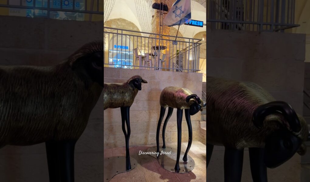 Emotional moment of Israeli hostages reuniting with their families after release from Gaza captivity.